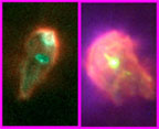 Protoplanetary Disks (Hubble)