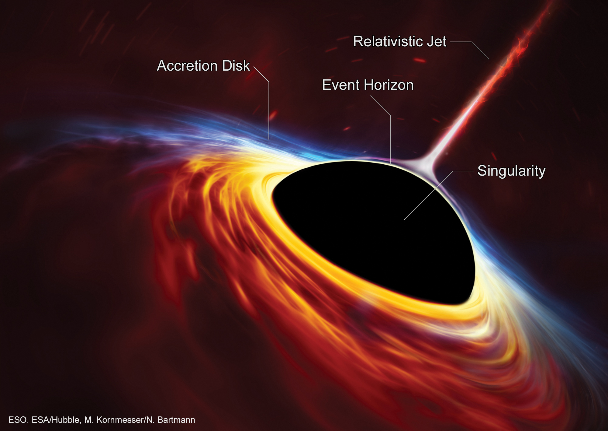 Black Hole Anatomy