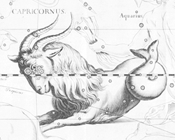 Capricornus