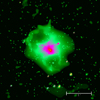 Chandra X-ray Image with Scale Bar