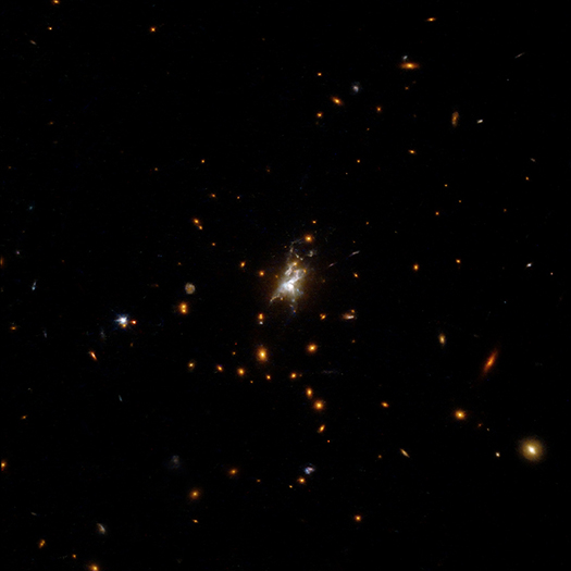 Phoenix Cluster