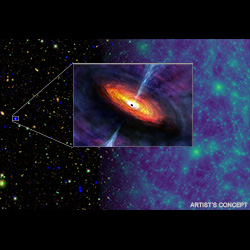 Supermassive Black Hole Survey